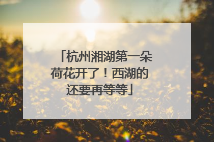 杭州湘湖第一朵荷花开了！西湖的还要再等等
