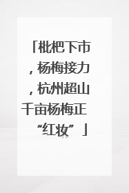 枇杷下市，杨梅接力，杭州超山千亩杨梅正“红妆”
