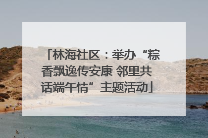 林海社区：举办“粽香飘逸传安康 邻里共话端午情”主题活动