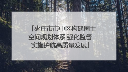 枣庄市市中区构建国土空间规划体系 强化监督实施护航高质量发展