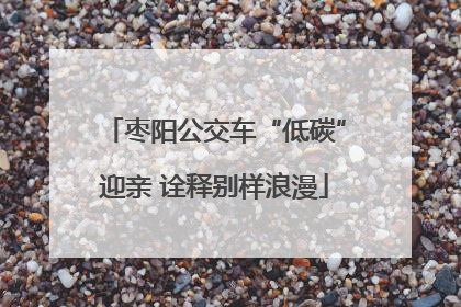 枣阳公交车“低碳”迎亲 诠释别样浪漫