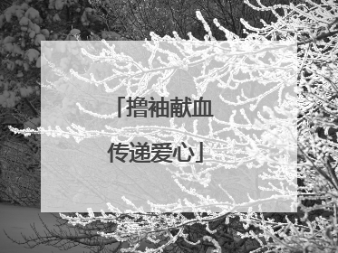 撸袖献血 传递爱心