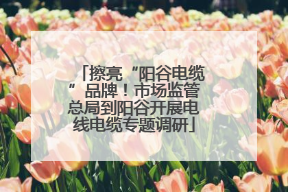 擦亮“阳谷电缆”品牌！市场监管总局到阳谷开展电线电缆专题调研