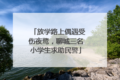 放学路上偶遇受伤夜鹭，聊城三名小学生求助民警
