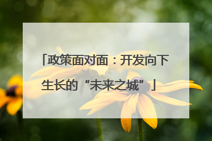 政策面对面：开发向下生长的“未来之城”