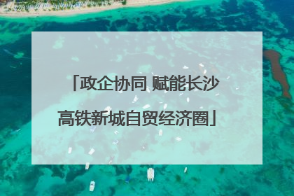 政企协同 赋能长沙高铁新城自贸经济圈