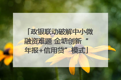 政银联动破解中小微融资难题 金塘创新“年报+信用贷”模式