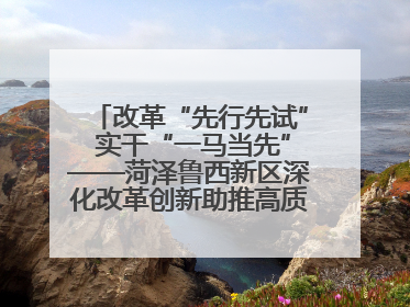 改革“先行先试” 实干“一马当先”——菏泽鲁西新区深化改革创新助推高质量发展纪实