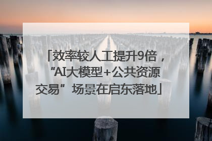 效率较人工提升9倍，“AI大模型+公共资源交易”场景在启东落地