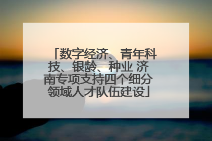 数字经济、青年科技、银龄、种业 济南专项支持四个细分领域人才队伍建设