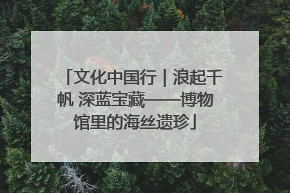 文化中国行｜浪起千帆 深蓝宝藏——博物馆里的海丝遗珍
