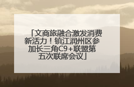 文商旅融合激发消费新活力！镇江润州区参加长三角C9+联盟第五次联席会议