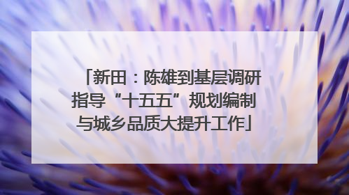 新田：陈雄到基层调研指导“十五五”规划编制与城乡品质大提升工作