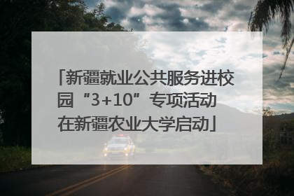 新疆就业公共服务进校园“3+10”专项活动在新疆农业大学启动