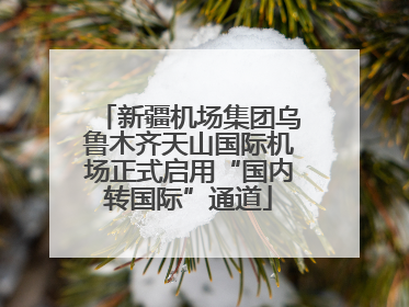 新疆机场集团乌鲁木齐天山国际机场正式启用“国内转国际”通道