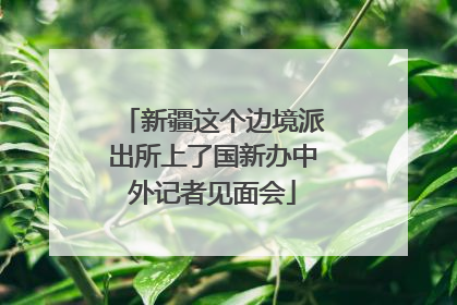 新疆这个边境派出所上了国新办中外记者见面会