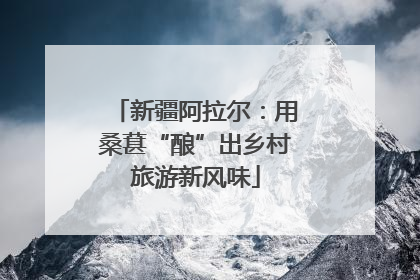 新疆阿拉尔：用桑葚“酿”出乡村旅游新风味