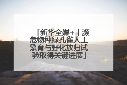新华全媒+丨濒危物种绿孔雀人工繁育与野化放归试验取得关键进展