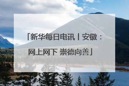 新华每日电讯丨安徽：网上网下 崇德向善
