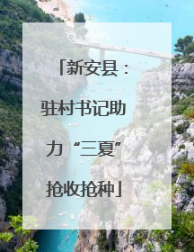 新安县：驻村书记助力“三夏”抢收抢种