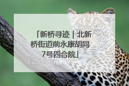 新桥寻迹｜北新桥街道前永康胡同7号四合院