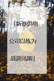新蔡供电公司以练为战迎汛期