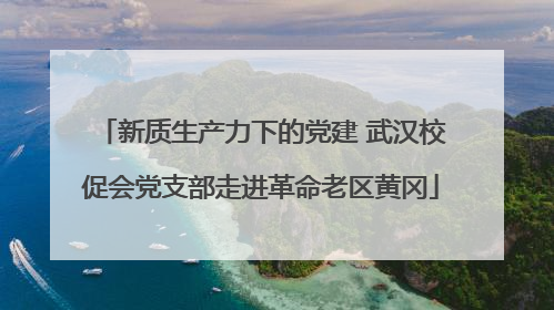 新质生产力下的党建 武汉校促会党支部走进革命老区黄冈