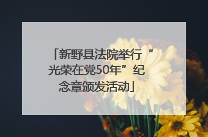 新野县法院举行“光荣在党50年”纪念章颁发活动