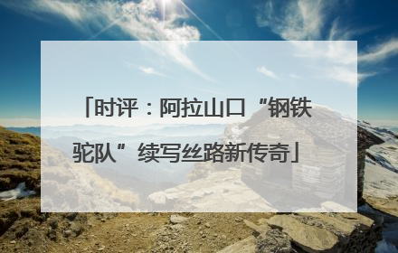 时评：阿拉山口“钢铁驼队”续写丝路新传奇