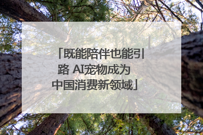 既能陪伴也能引路 AI宠物成为中国消费新领域