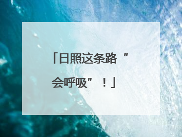 日照这条路“会呼吸”！