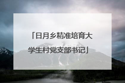 日月乡精准培育大学生村党支部书记