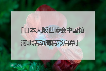 日本大阪世博会中国馆河北活动周精彩启幕