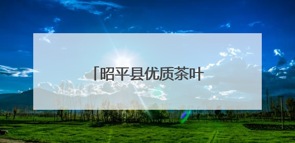 昭平县优质茶叶亮相第十九届西安国际茶叶博览会