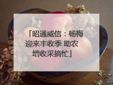 昭通威信：杨梅迎来丰收季 助农增收采摘忙