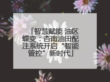 智慧赋能 油区蝶变：杏南油田配注系统开启“智能管控”新时代