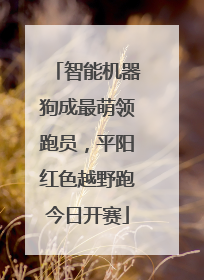 智能机器狗成最萌领跑员，平阳红色越野跑今日开赛