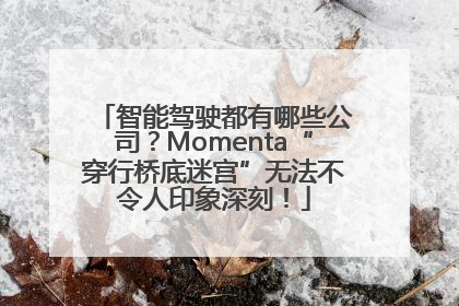 智能驾驶都有哪些公司？Momenta“穿行桥底迷宫”无法不令人印象深刻！