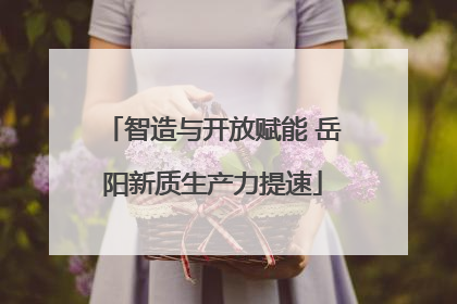 智造与开放赋能 岳阳新质生产力提速