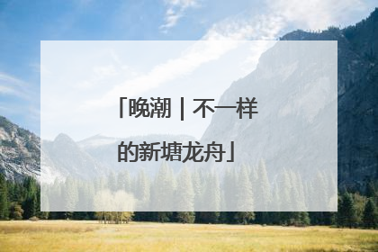 晚潮｜不一样的新塘龙舟
