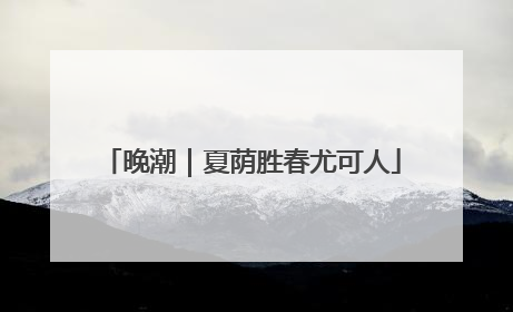 晚潮｜夏荫胜春尤可人