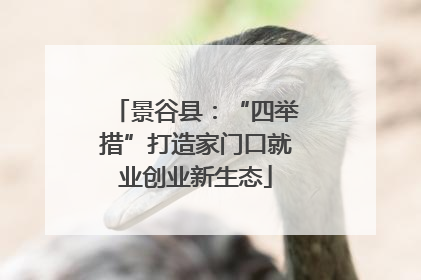 景谷县：“四举措”打造家门口就业创业新生态