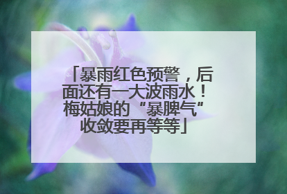 暴雨红色预警，后面还有一大波雨水！梅姑娘的“暴脾气”收敛要再等等