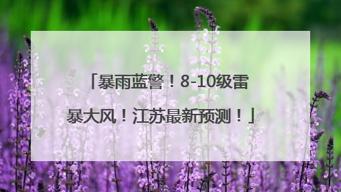 暴雨蓝警！8-10级雷暴大风！江苏最新预测！