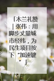 木兰礼赞｜张伟：用脚步丈量城市经纬，为民生项目按下“加速键”