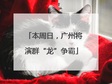 本周日，广州将演群“龙”争霸