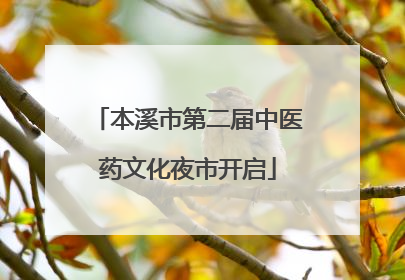本溪市第二届中医药文化夜市开启