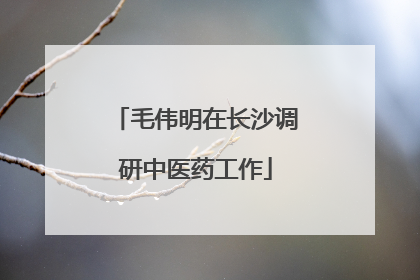 毛伟明在长沙调研中医药工作