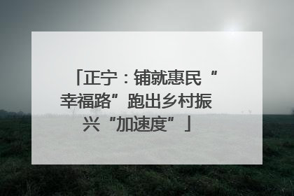 正宁：铺就惠民“幸福路”跑出乡村振兴“加速度”
