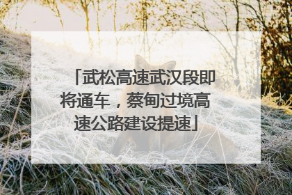 武松高速武汉段即将通车，蔡甸过境高速公路建设提速